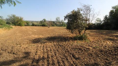 Foto 2 de Casa o chalet en venta en Partidas Norte, Ronda