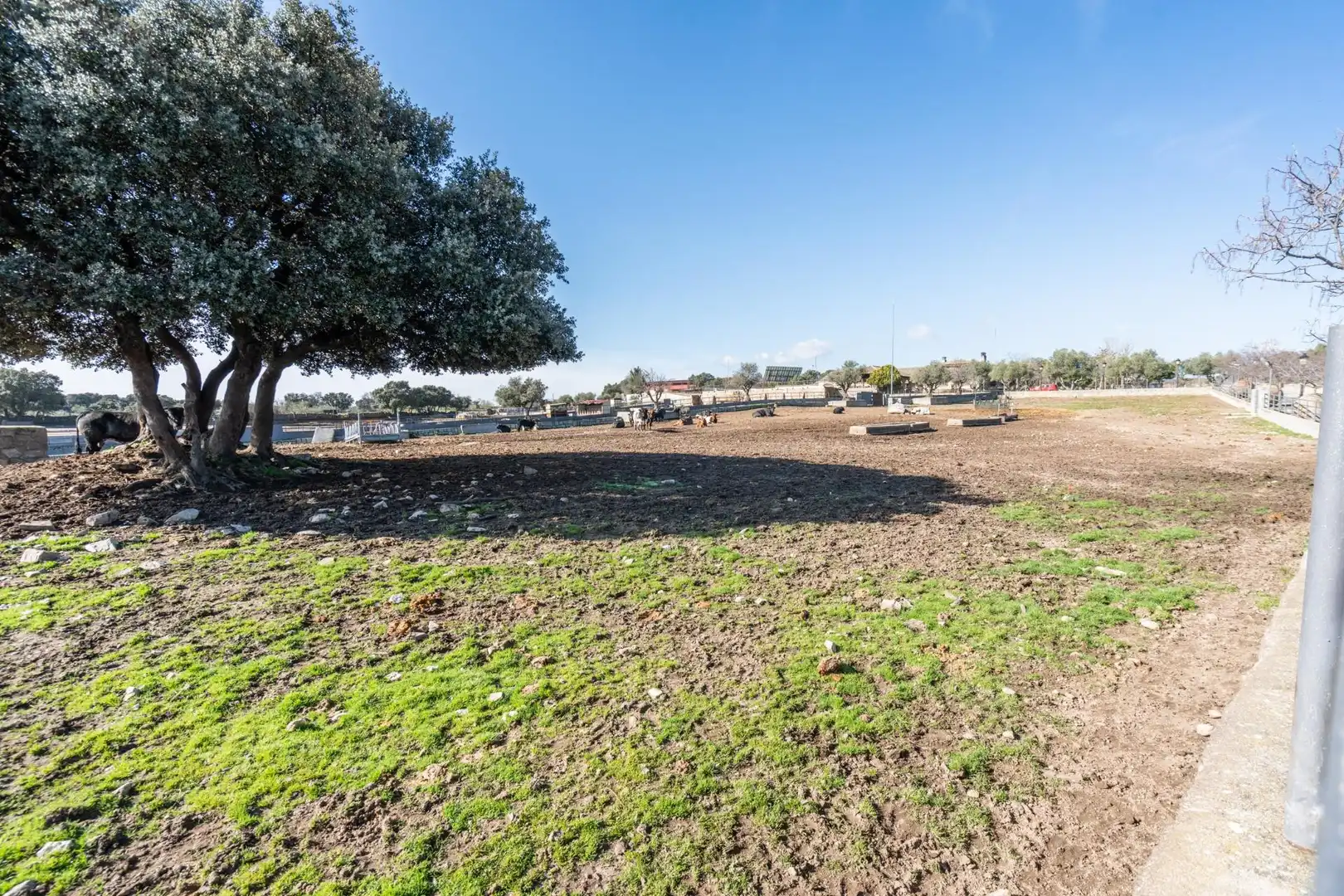 Terrain rustique à vendre à Robledo de Chavela, imagen 37