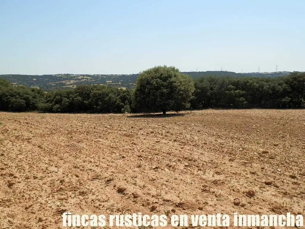 Rustikales Grundstück zum Verkauf in Alcocer, imagen 13
