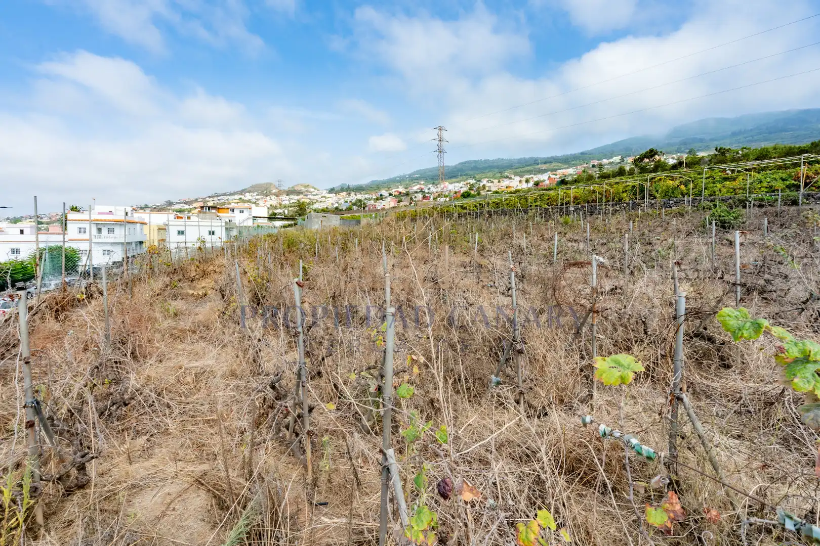 Terreno residencial en venta en Calle Vista Alegre 3, imagen 29