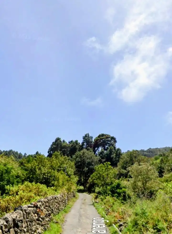Rural land for sale in La Vega - El Amparo - Cueva del Viento, imagen 16
