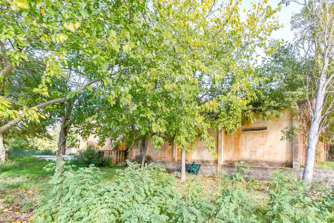 Maison rustique à vendre à Breda, imagen 67