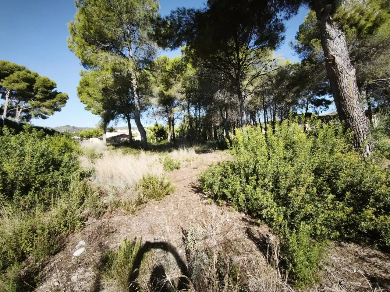 Residential land for sale in Calle Acacias, imagen 2