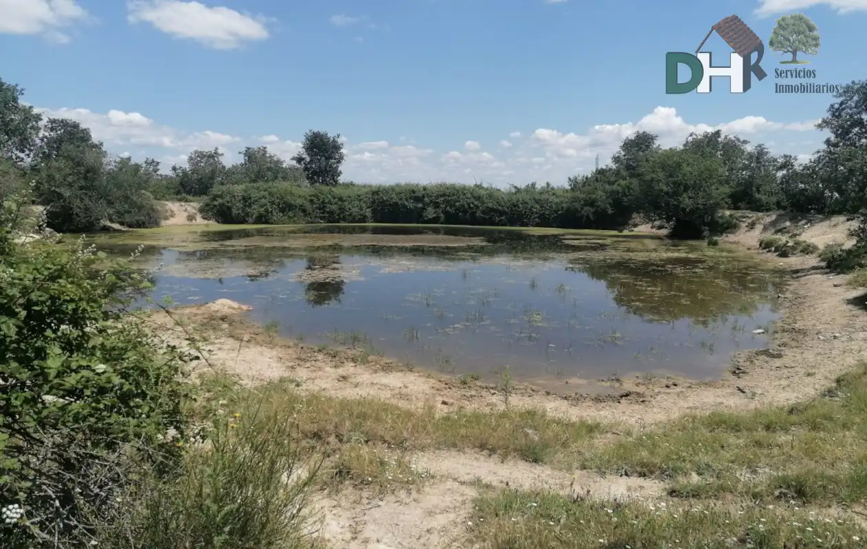 Lands and plots for sale in Barrio Blanco, imagen 11