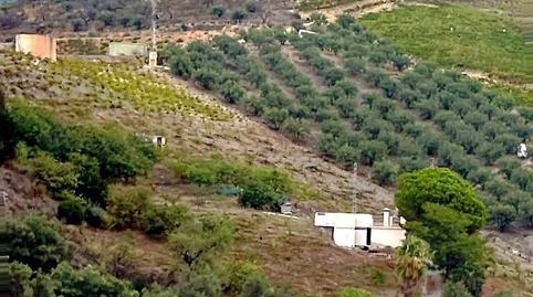 Foto 3 de Finca rústica en venda a El Rescate - Río Seco, Granada