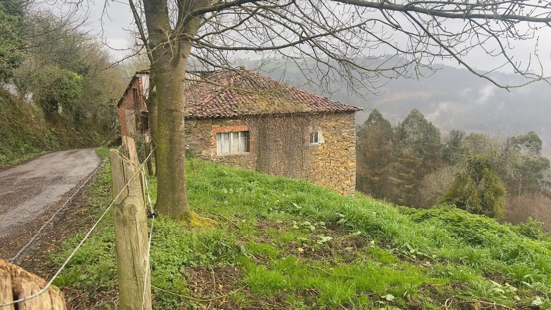 Vista exterior de Casa o chalet en venta en Tineo con Piscina