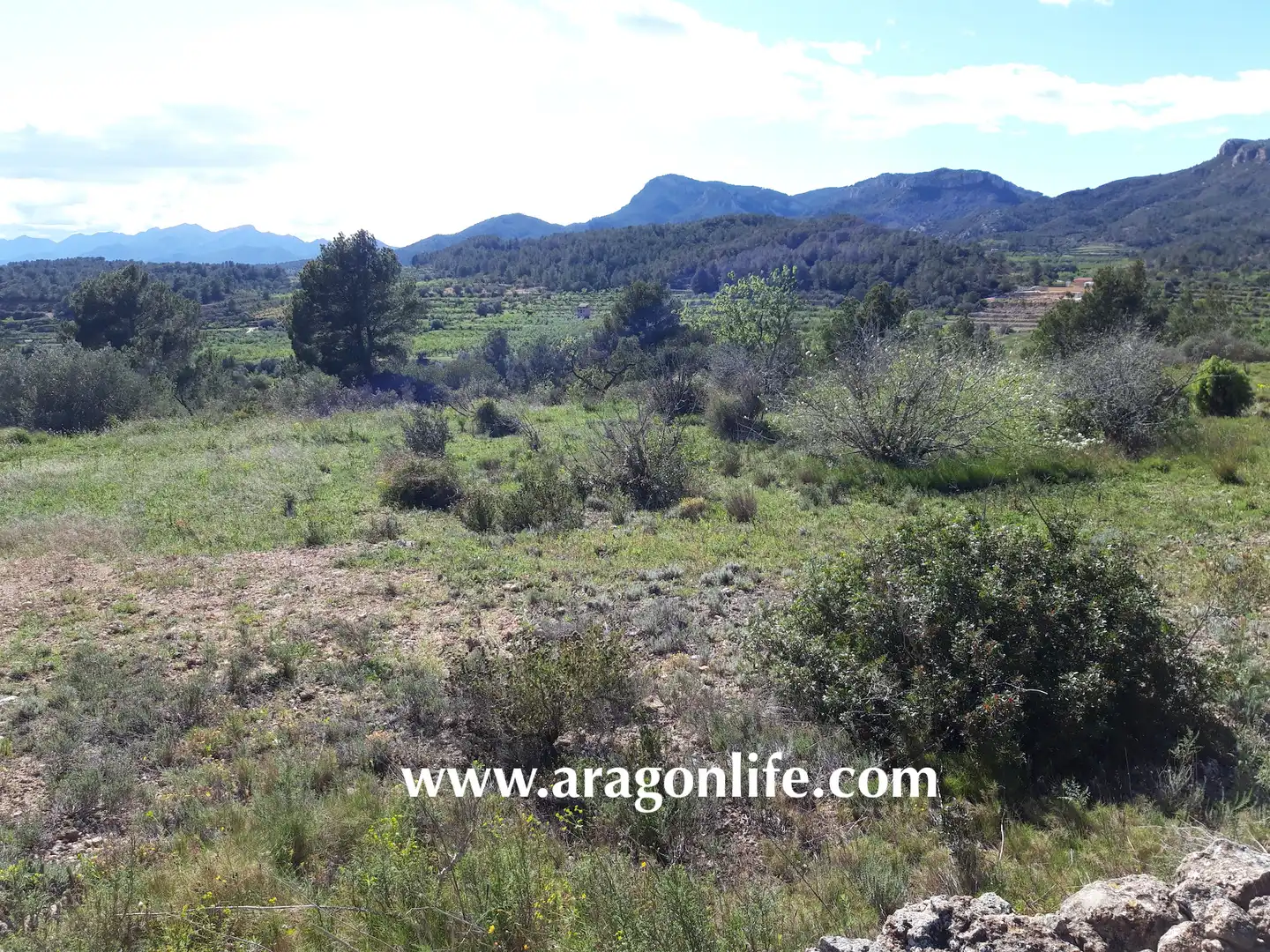 Rural land for sale in C-43, imagen 9