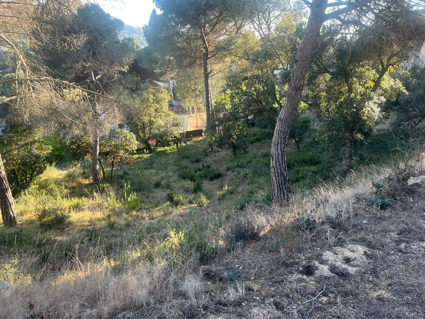 Terreny residencial en venda a Aiguaviva Parc, imagen 3