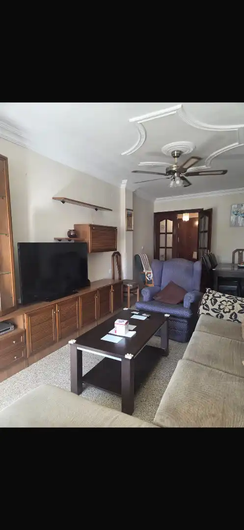 Living room of Flat for sale in Chiclana de la Frontera  with Furnished, Oven and Washing machine