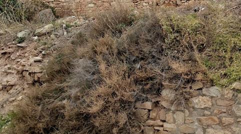 Foto 4 de Casa adosada en venda a Els Omells de na Gaia, Lleida