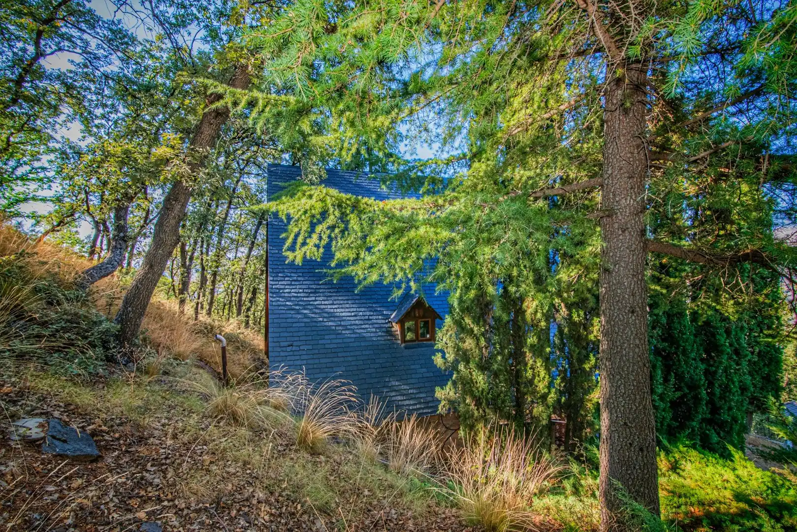 Vista exterior de Casa o chalet en venta en Güéjar Sierra con Calefacción, Jardín privado y Terraza