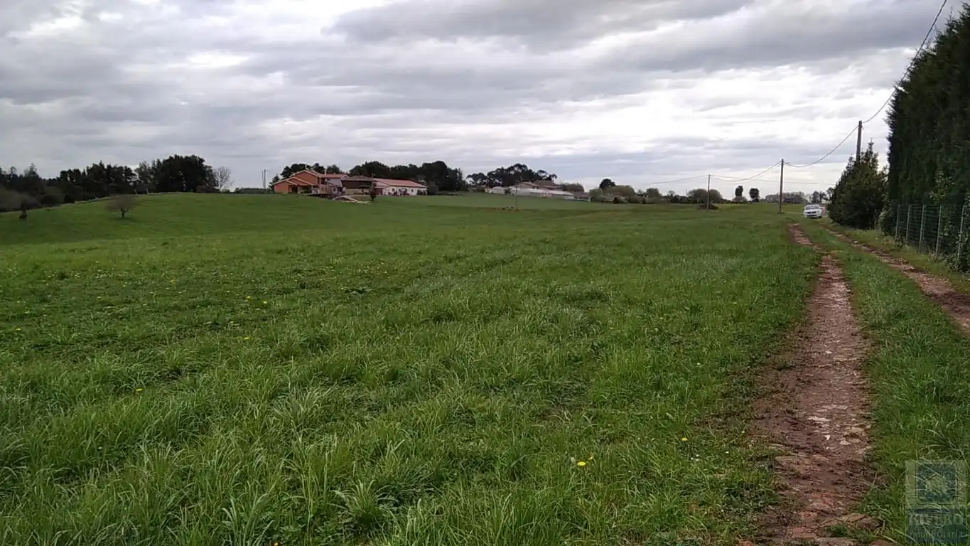 Grundstücke zum Verkauf in Carreño