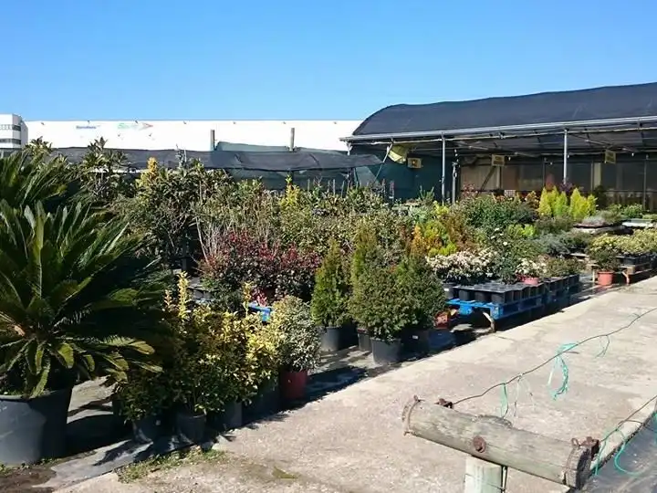 Business premises for transfer in B-140, 37, Zona Industrial 37