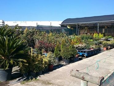 Local comercial en traspaso en B-140, 37, Zona Industrial 37