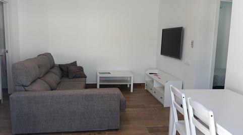 Foto 4 de Finca rústica de lloguer a Camino Estepona (zabal), El Zabal - Santa Margarita, Cádiz