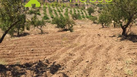 Photo 5 of House or chalet for sale in Unnamed Road, -1, Torrecilla, Murcia