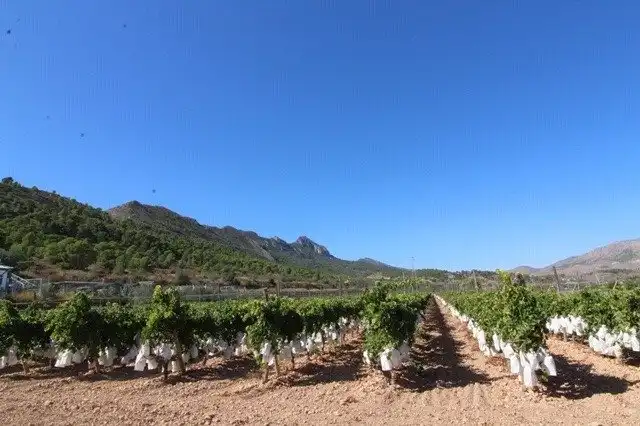 Terreny residencial en venda a La Romana, imagen 2