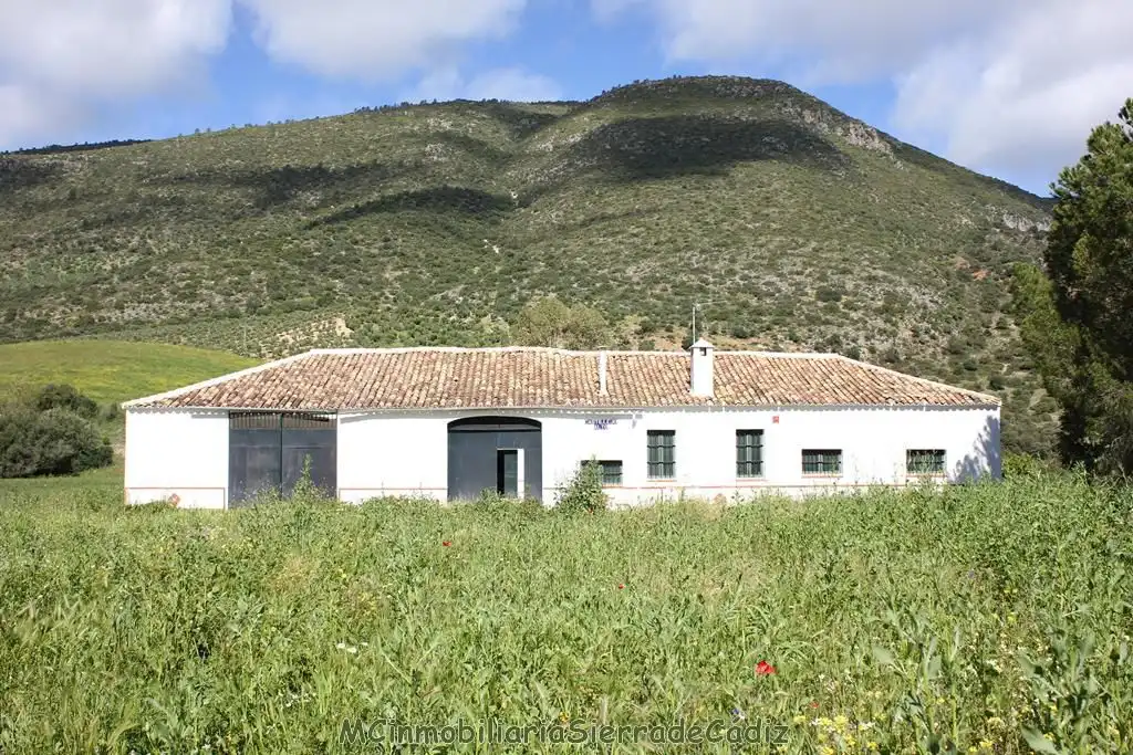 Casa rústica en venda a Algodonales