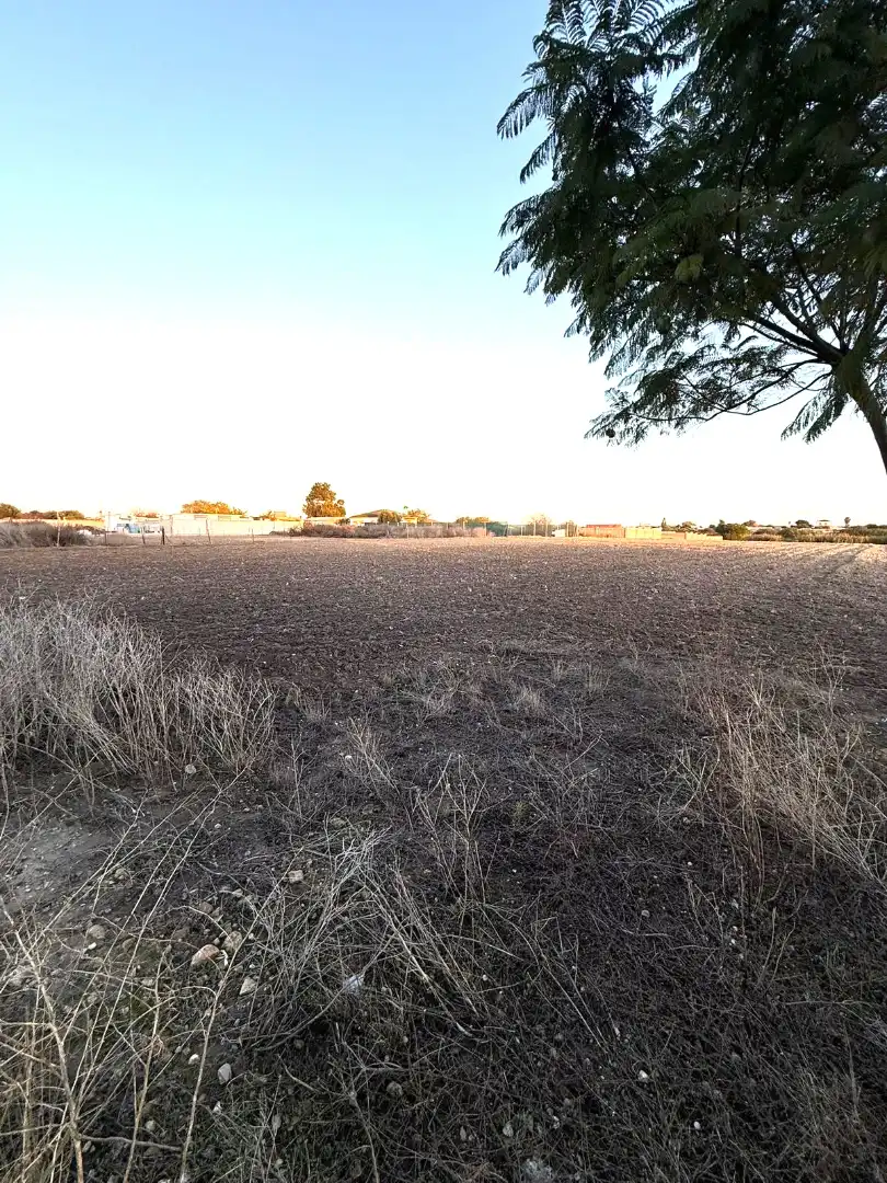 Rural land for sale in Ctra Sanlúcar - Cuatro Pinos, imagen 13