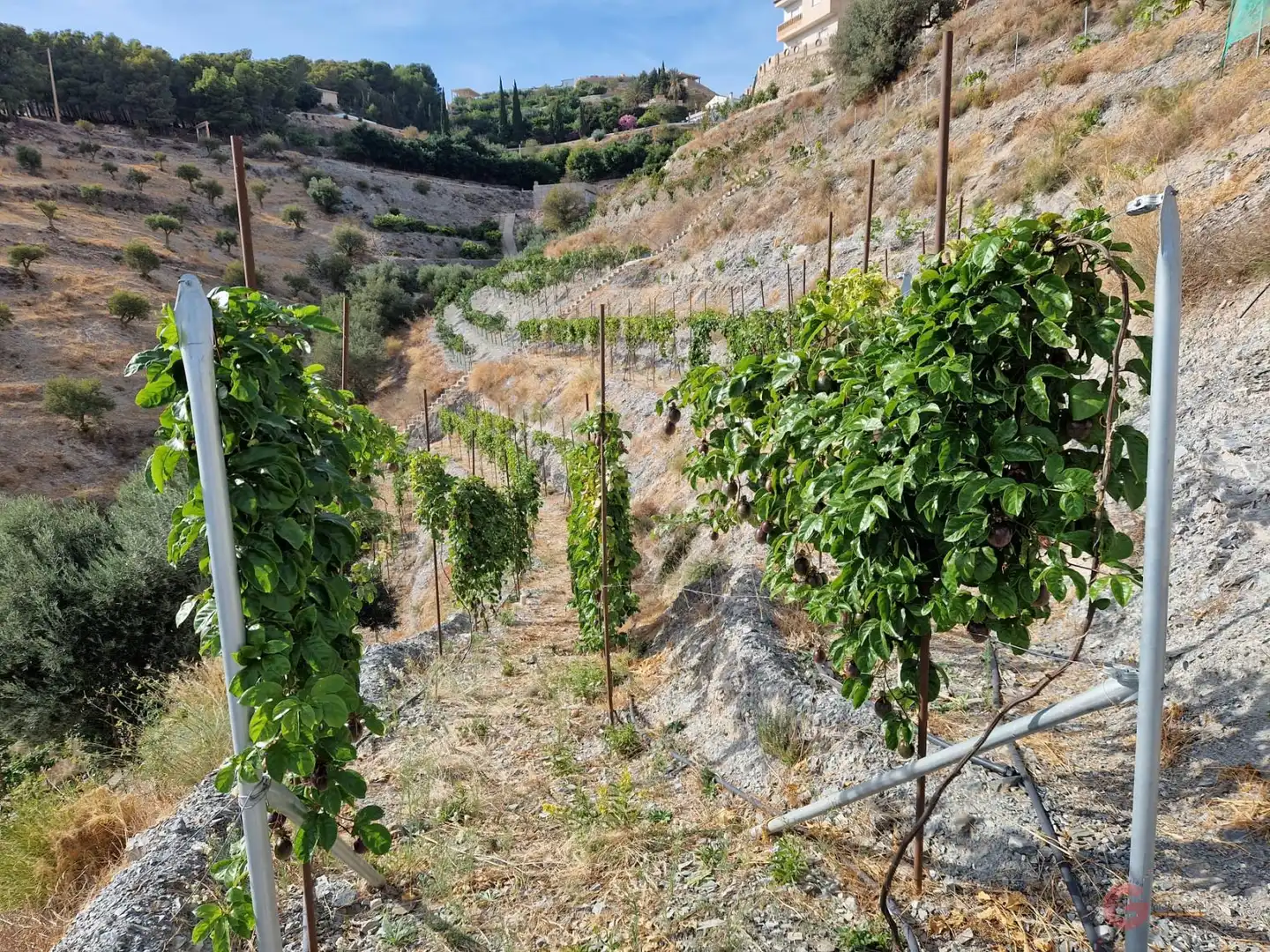 Terrenys i solars en venda a Molvízar, imagen 14