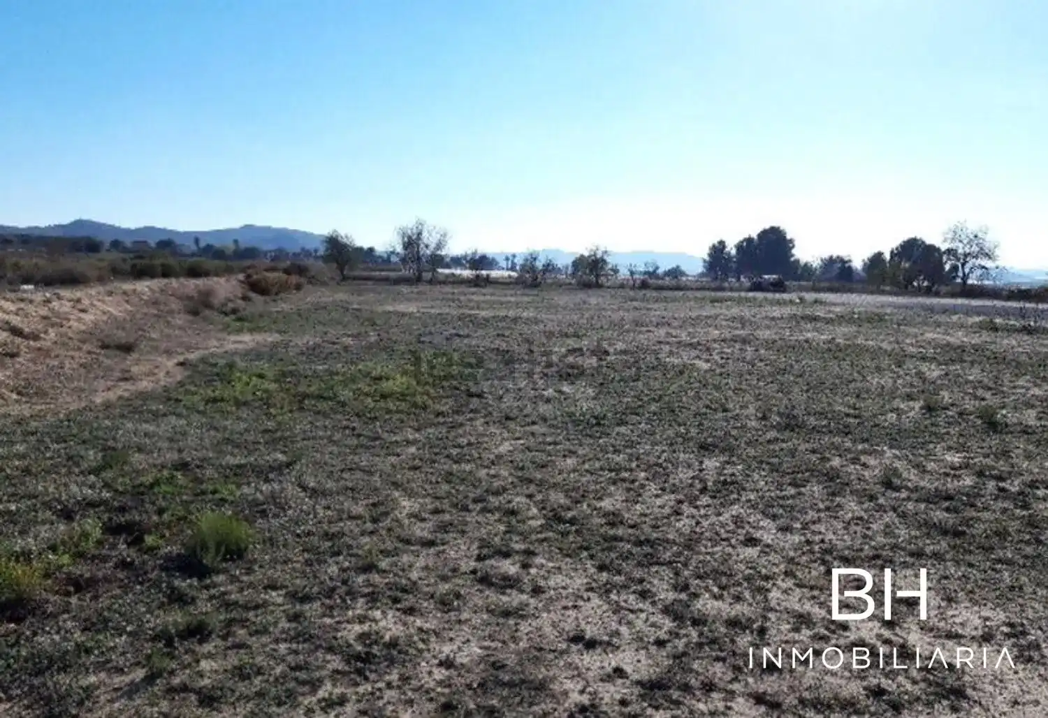 Terreno rústico en venta en Monforte del Cid