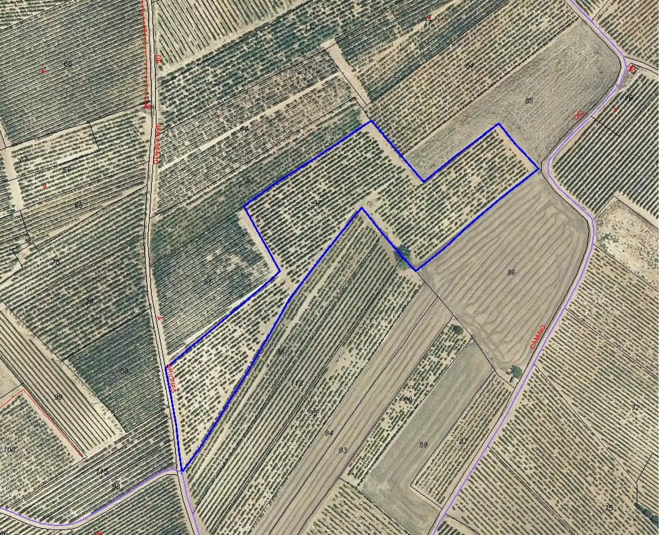 Lands and plots for sale in San Asensio, imagen 2