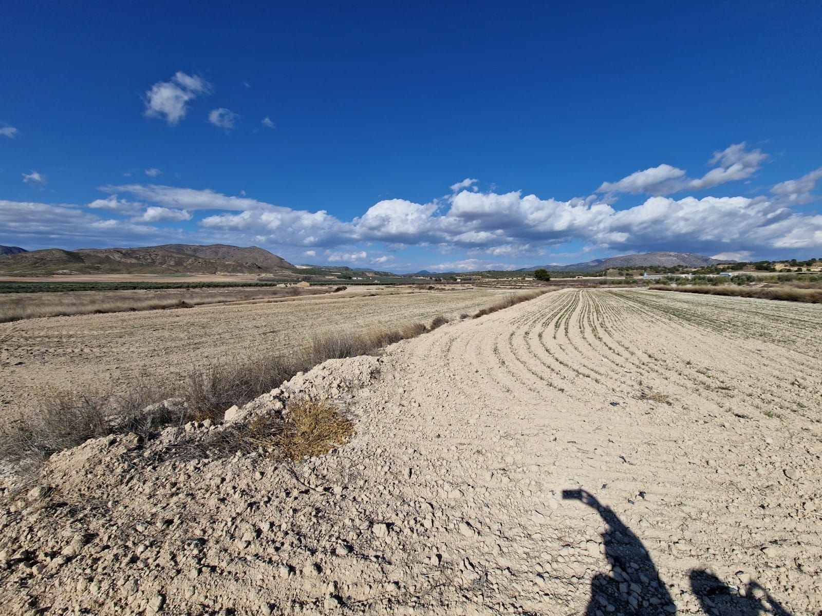 Terreny industrial en venda en Lorca