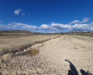 Terreny industrial en venda en Lorca