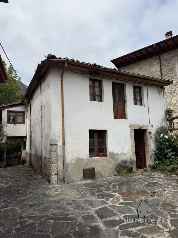 Vista exterior de Casa o chalet en venta en Cabrales