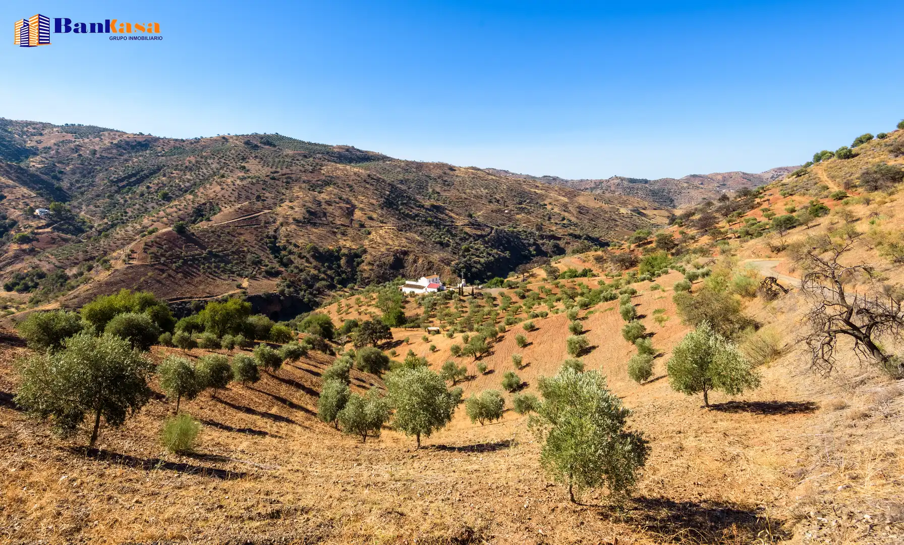 Vista exterior de Finca rústica en venta en Álora con Jardín privado y Trastero