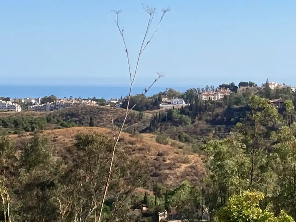 Terrain rustique à vendre à Mijas pueblo, imagen 2