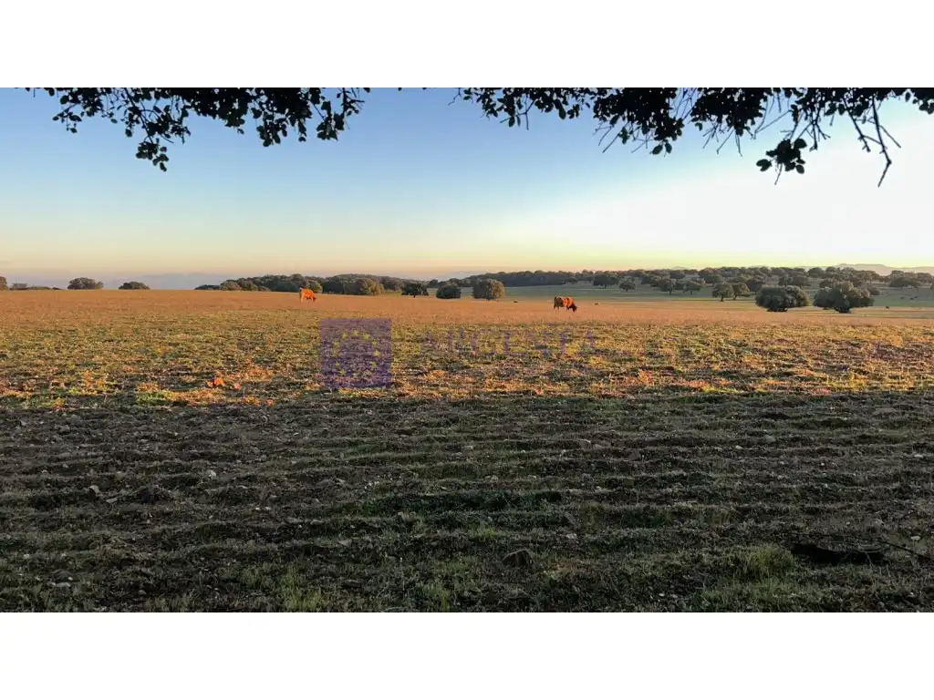 Houses for sale in Oeste