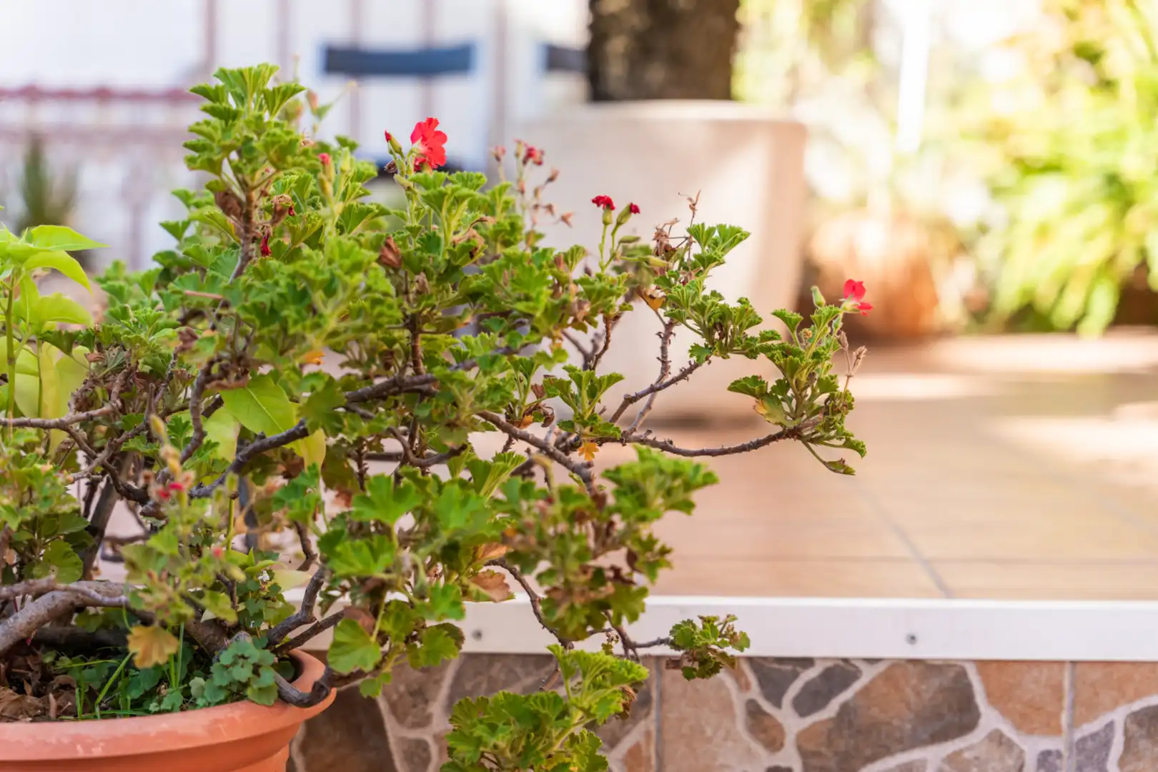 Terraza de Planta baja en venta en Mollet del Vallès con Aire acondicionado, Calefacción y Terraza