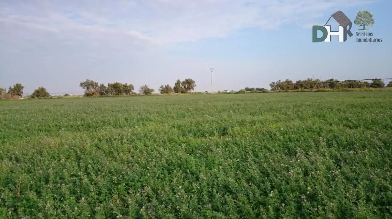 Terrenys i solars en venda a Los Cigarrales - La Bastida, imagen 3