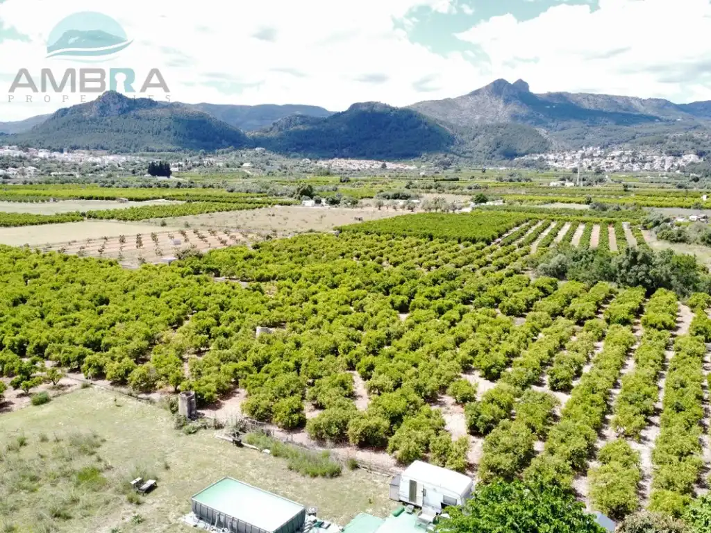 Rural land for sale in Partida Garroferal, imagen 6