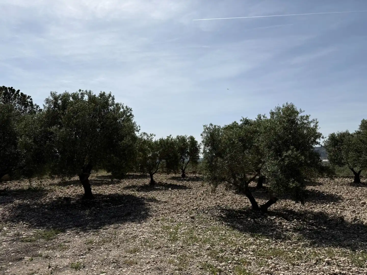 Villa avec terrasse à vendre à Partida HORNA ALTA, imagen 14