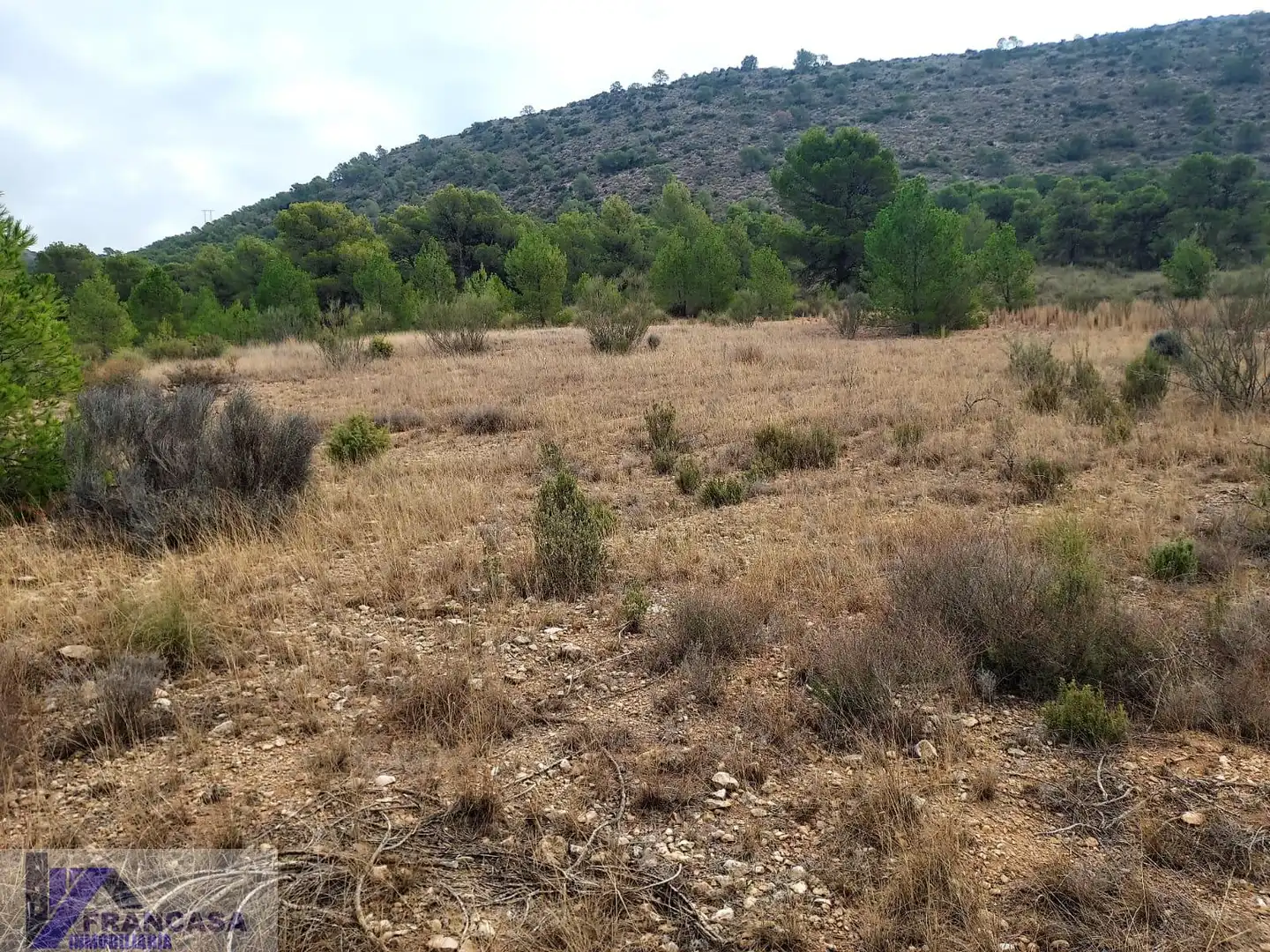 Terrenys i solars en venda a Cieza, imagen 10