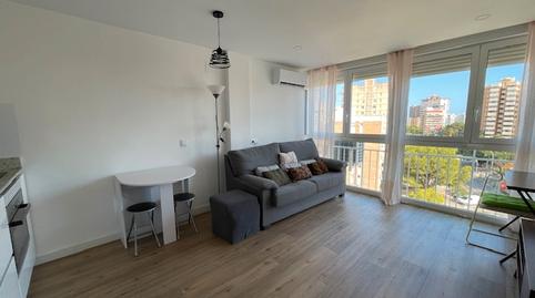 Foto 3 de Pis de lloguer a Carrer Zeus, Albufereta, Alicante / Alacant