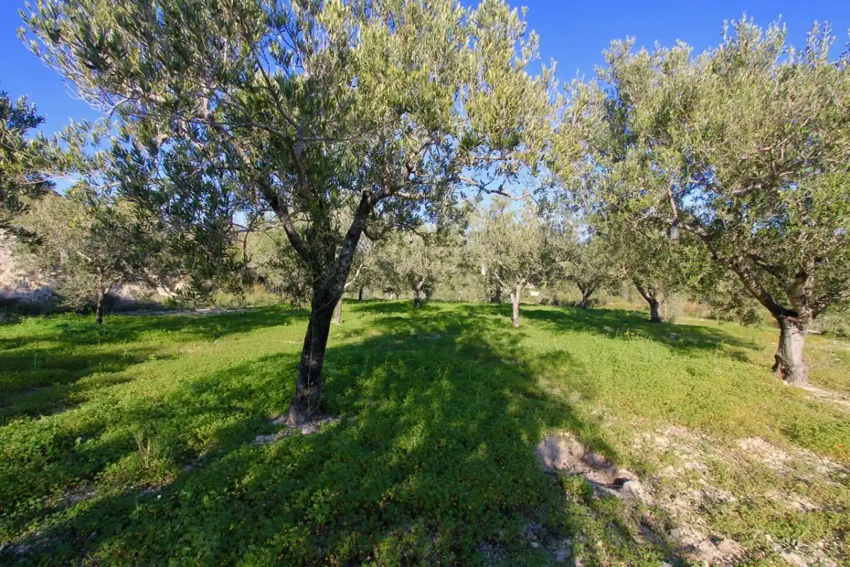 Terreno rústico en venta en Benissa pueblo, imagen 7