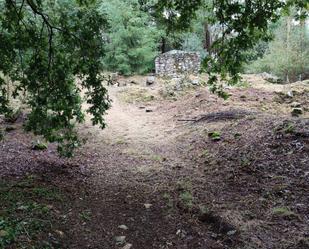 Land for sale in Cotobade