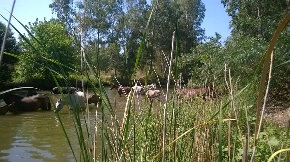 Terreni e lotti in vendita a Sanlúcar la Mayor, imagen 32