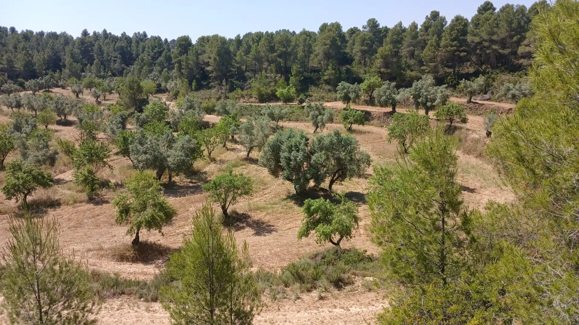Terreno rustico in vendita a N/A, imagen 14