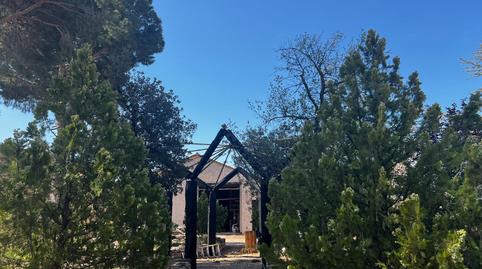 Foto 4 de Finca rústica en venda a Las Tiesas, Alicante