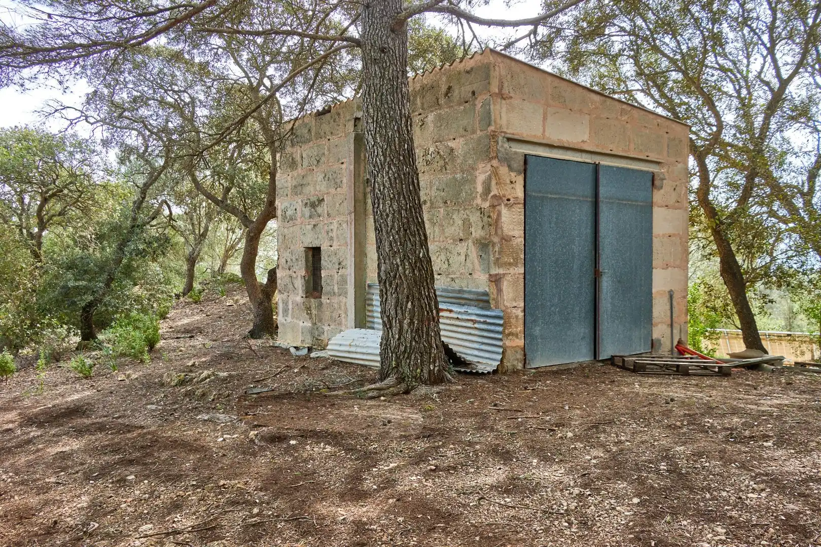 Casa rústica amb piscina en venda a Llucmajor pueblo, imagen 58