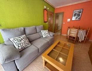 Sala d'estar de Apartament en venda en Torrevieja amb Terrassa