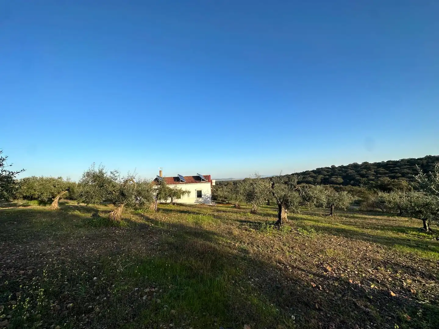 Villa in vendita a Santa Amalia, imagen 18