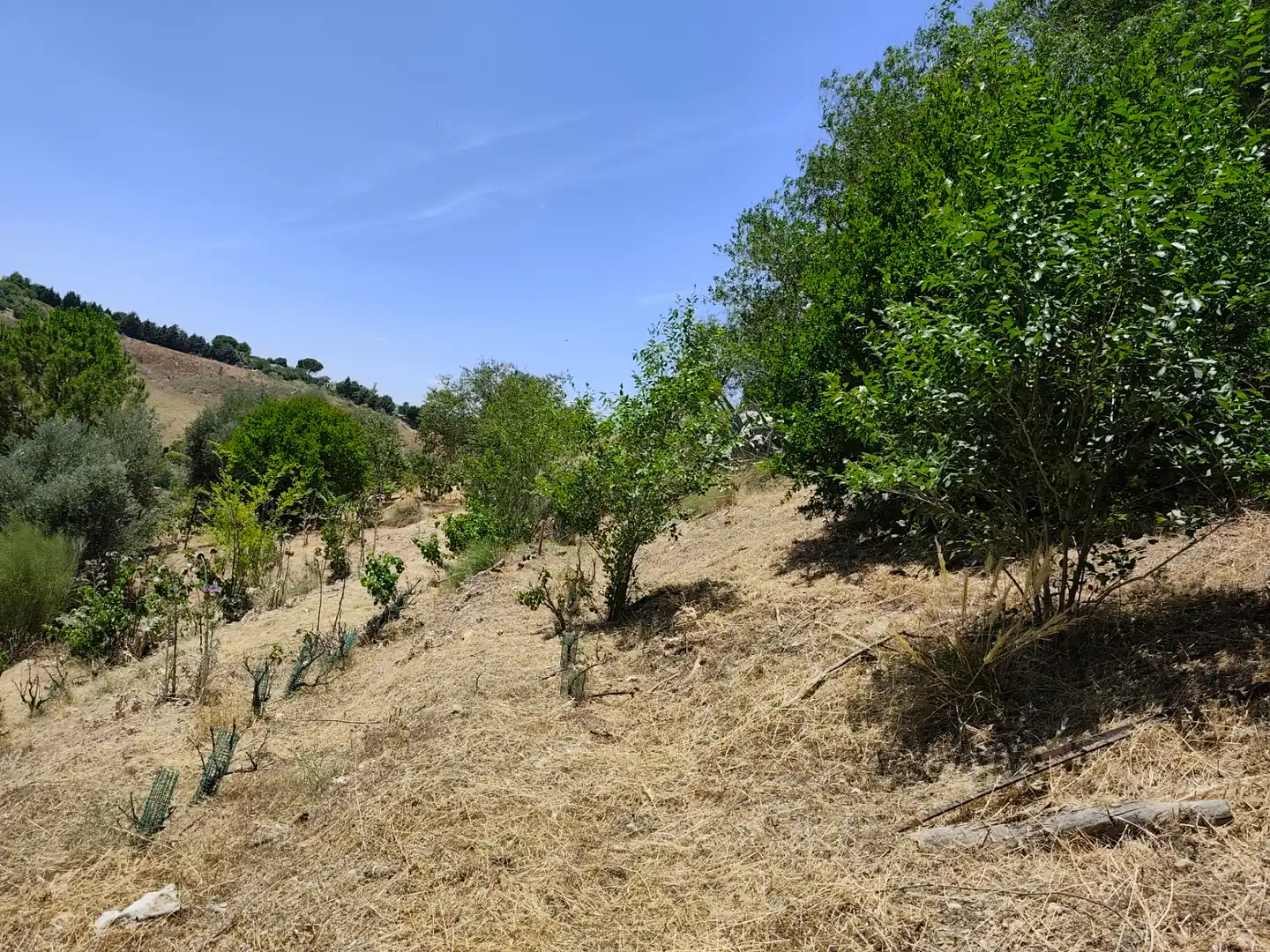 Casa o xalet en venda en Illana amb Jardí privat, Terrassa i Piscina