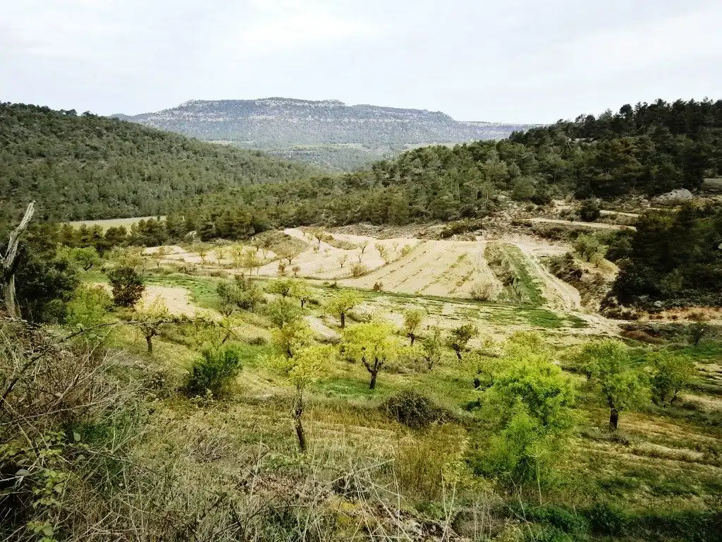 Country homes for sale in Fuentespalda  with Private garden, Terrace and Storage room