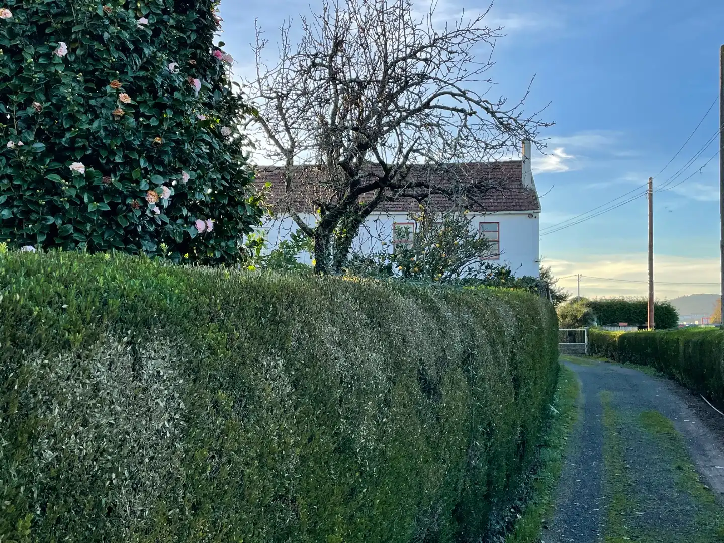 Habitatge amb jardí en venda a Camino Ponte 20, imagen 5