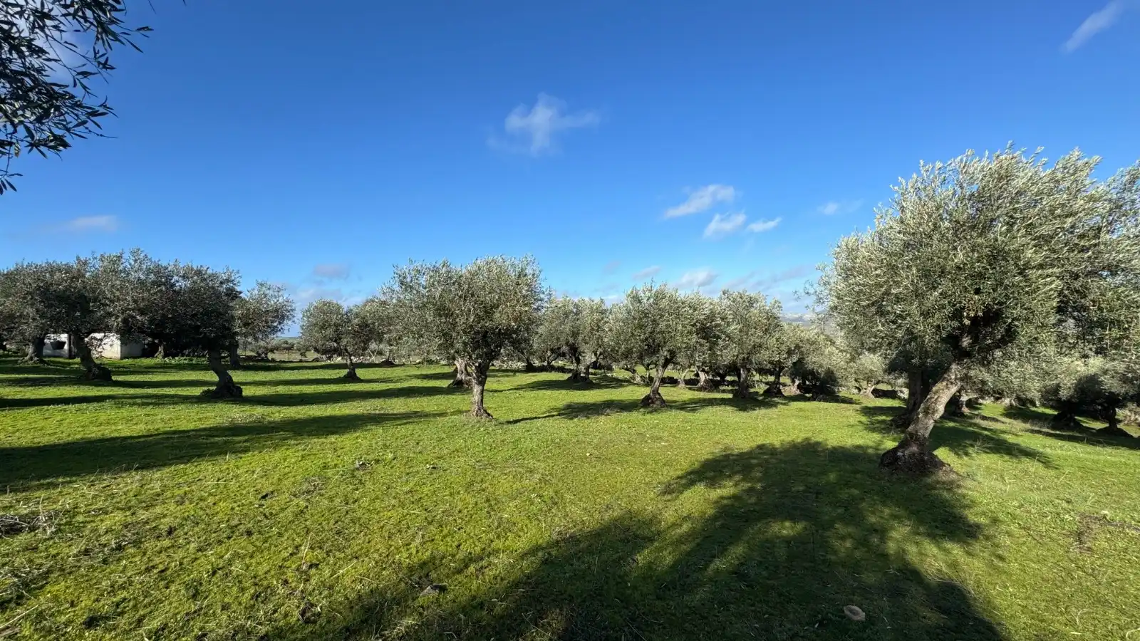 Terreni e lotti in vendita a Valencia de Alcántara, imagen 2